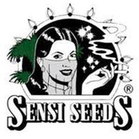 Sensi Seeds Sensi Seeds